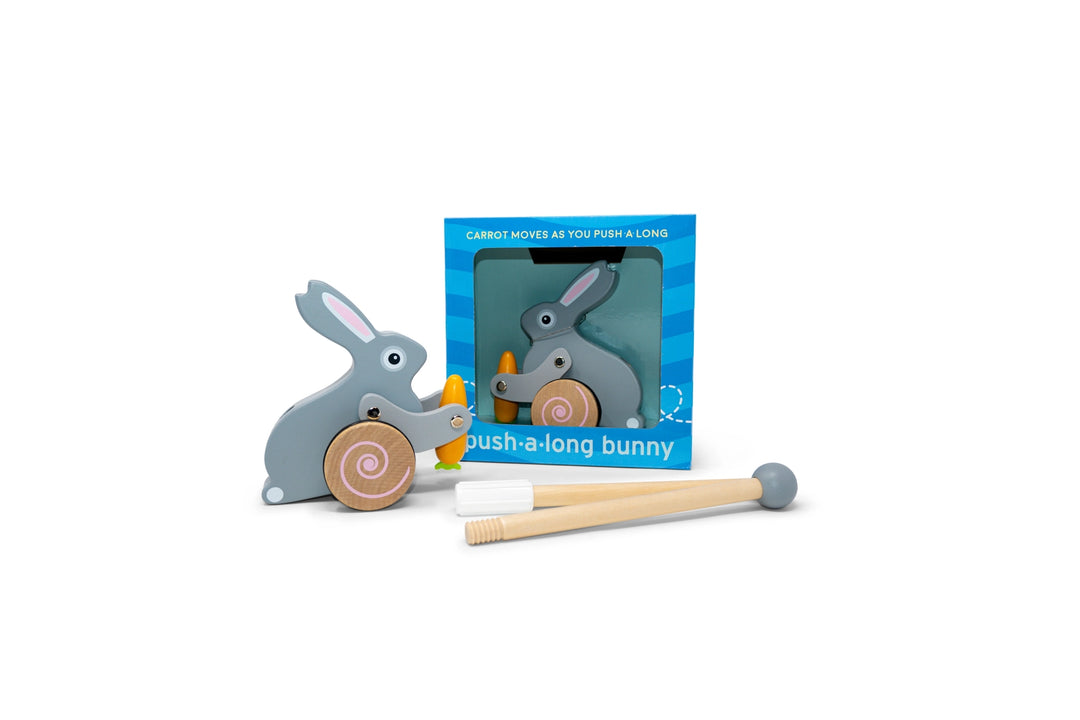 Bunny Roll Along Push Toy