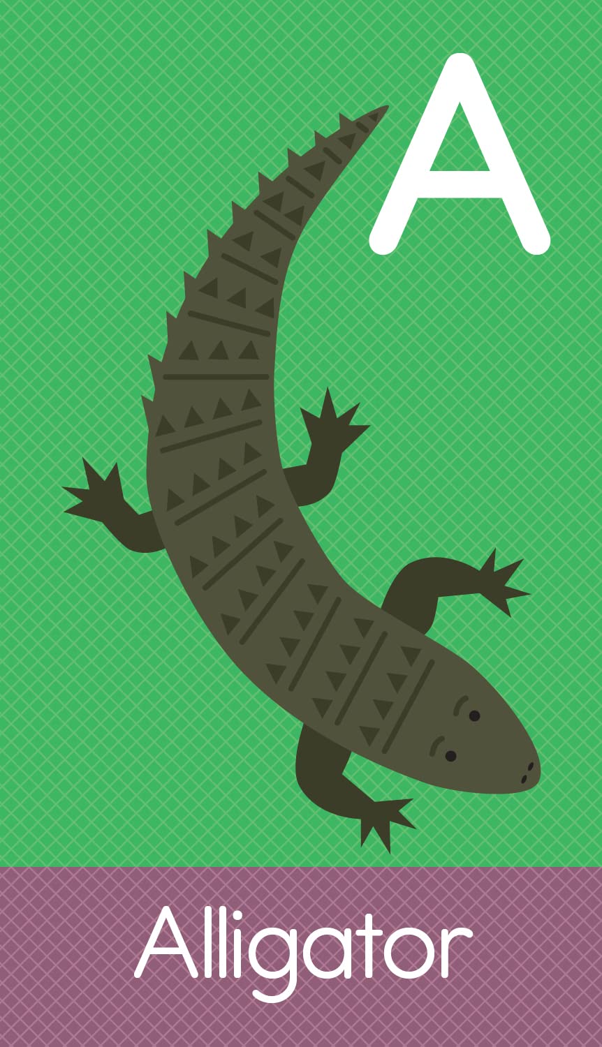 ABC Animals: SmartFlash Cards