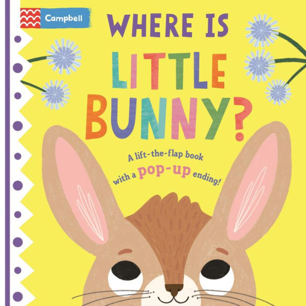 Where is Little Bunny