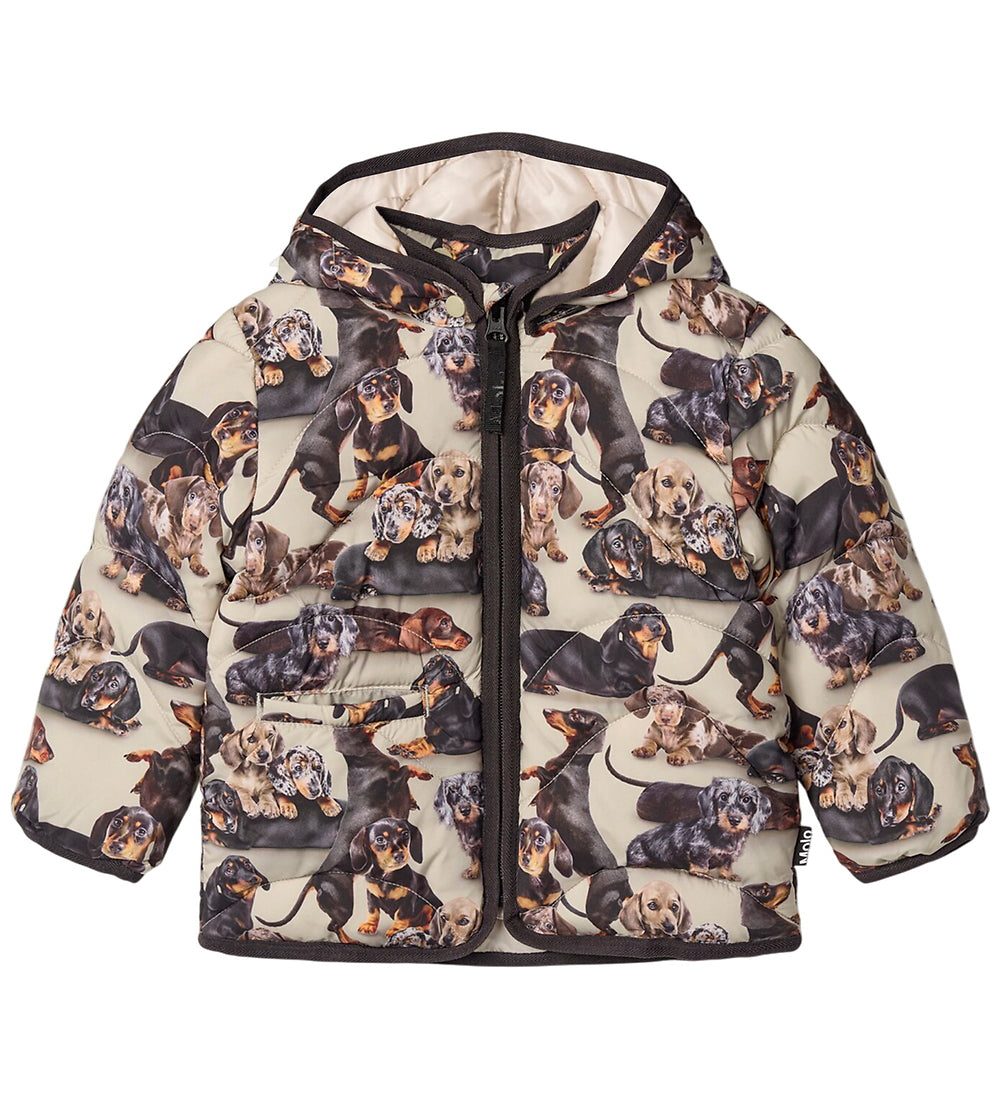 Harmony Puffer Jacket - Dashshund
