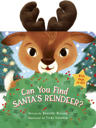 Can You Find Santa's Reindeer? book cover