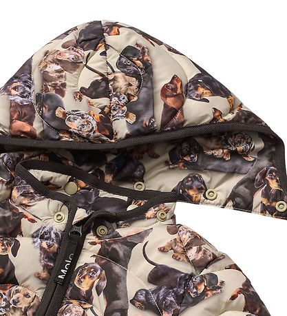 Harmony Puffer Jacket - Dashshund
