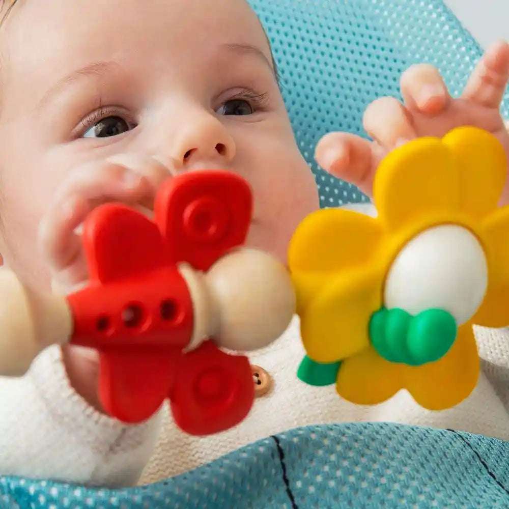 Shop Baby Bjorn Toy for Bouncer Flying Friends Li l Baby Sprouts