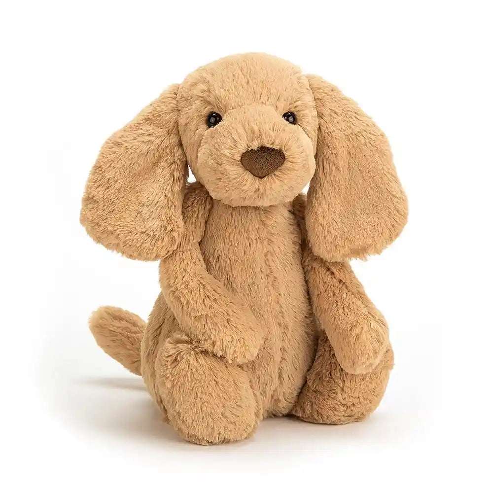 Jellycat Bashful Toffee Puppy Small Jellycat Small   [variant_option4] [variant_option5] [variant_option6] [variant_option7] [variant_option8] [variant_option9] 1