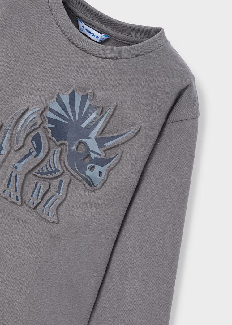 L/S Shirt 4089 Grey