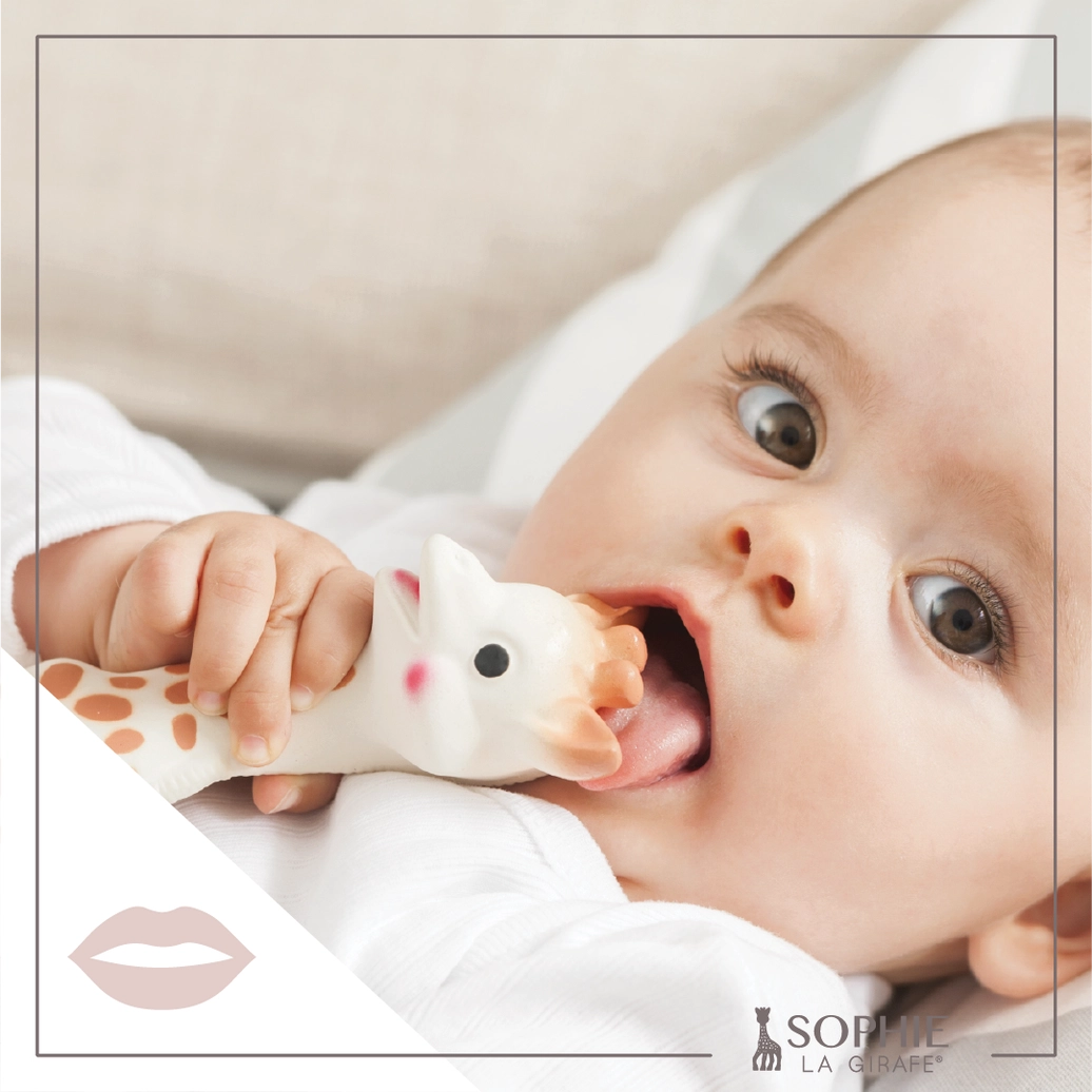 Sophie La Giraffe White Box