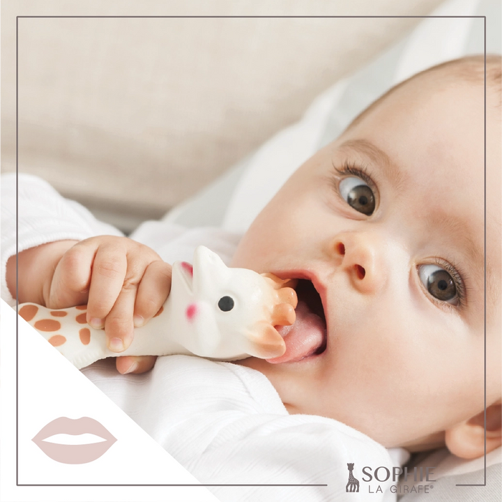 Sophie La Giraffe White Box