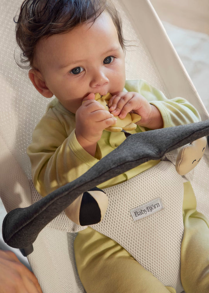 Baby Bjorn Toy for Bouncer - Sunny Friends