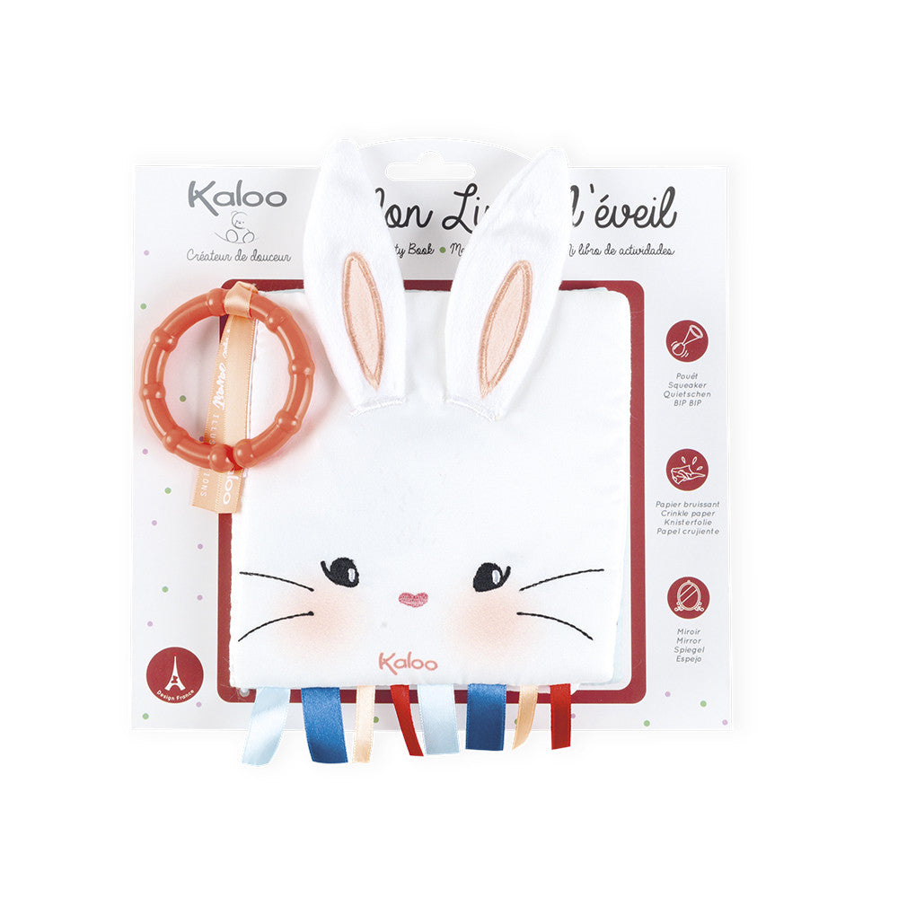 Activity Book - The Rabbit in Love