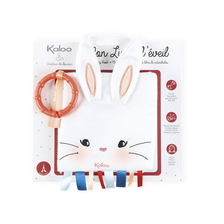 Activity Book - The Rabbit in Love