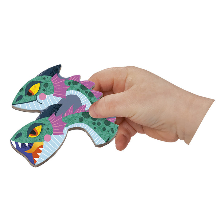 Dragons Magneti'Book