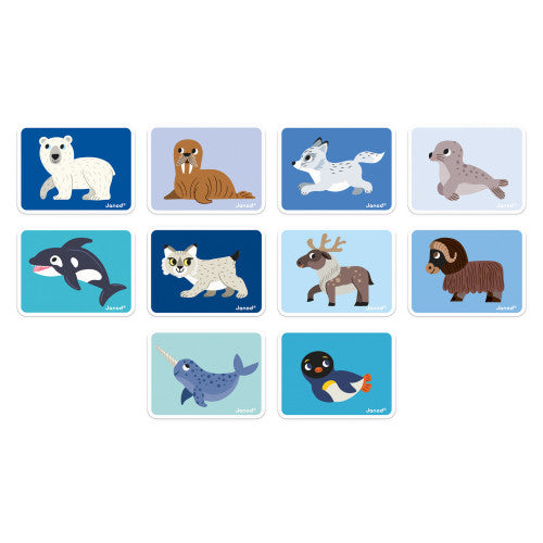 Polar Animals Magneti'Book