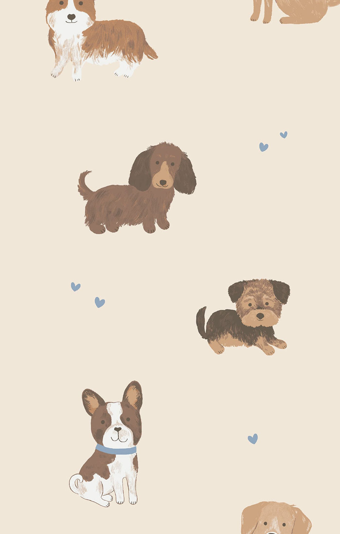 Best Friend Dogs French Terry Sweatshirt Set