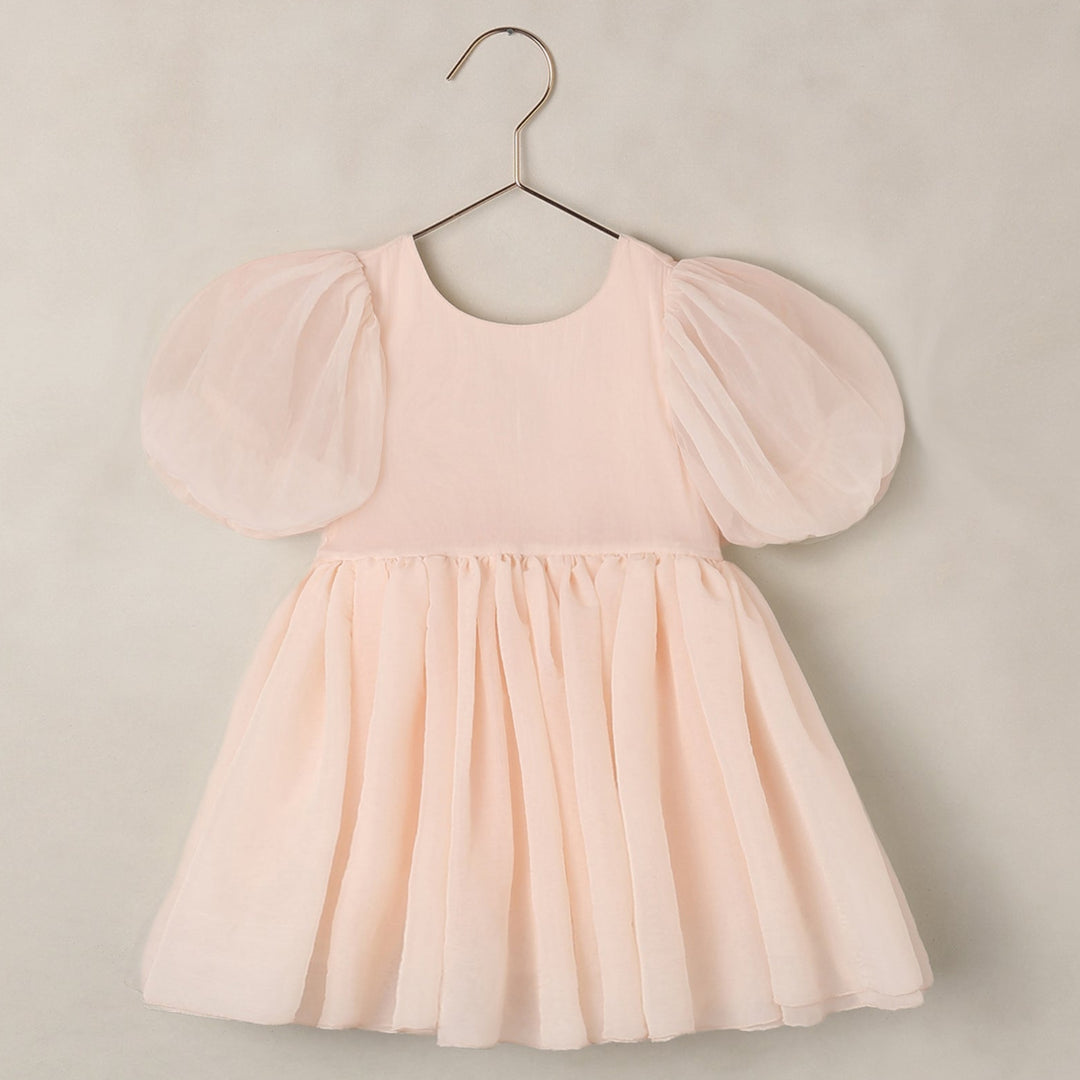Noralee Sofia Dress - Blush