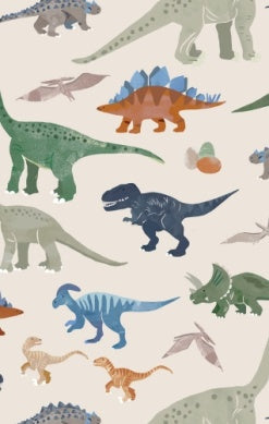 Washy Dino 2 Way Zipper Romper